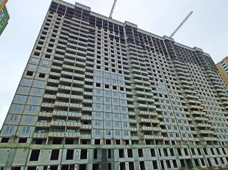 Грудень 2024 року